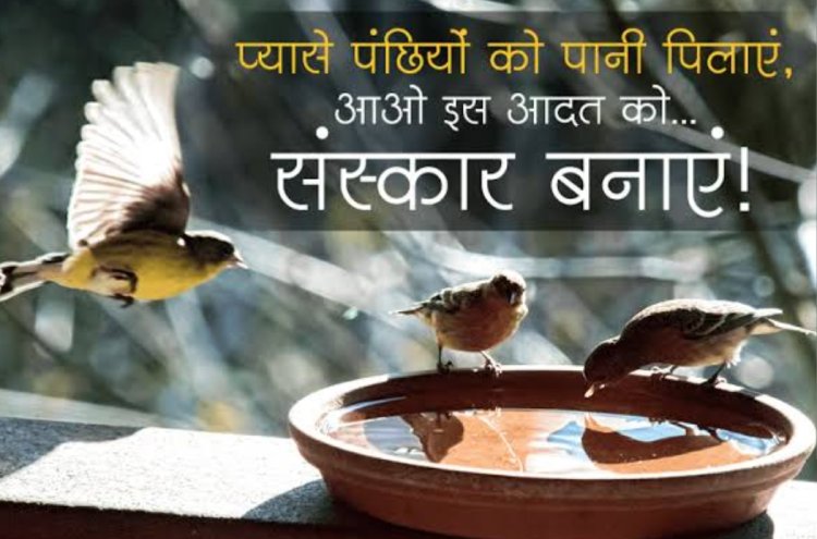 सामाजिक सरोकार : विश्व सेवा दिवस पर शहर में विभिन्न स्थानों पर सेवा अभियान 16 से