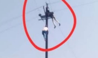 घटना : पोल पर चढ़ा बिजलीकर्मी करंट लगने से नीचे गिरा