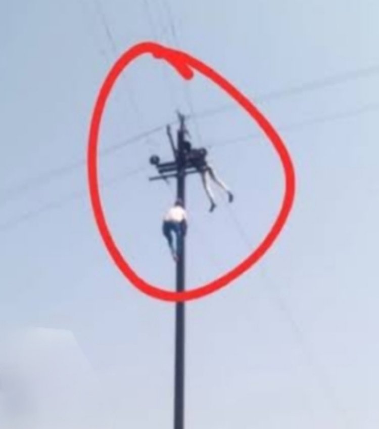 घटना : पोल पर चढ़ा बिजलीकर्मी करंट लगने से नीचे गिरा