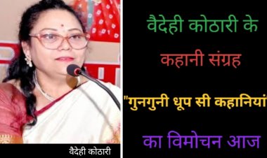 साहित्य सरोकार : कहानीकार वैदेही कोठारी के कहानी संग्रह  "गुनगुनी धूप सी कहानियां" का विमोचन आज