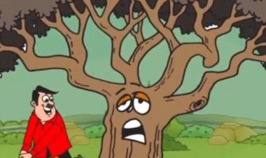 विश्व पर्यावरण दिवस पर विशेष :  वृक्ष की करुण गाथा