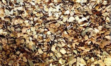 नाकाबंदी कार्रवाई : रतलाम जिले के भेरूलाल और भंवरलाल को पुलिस ने पकड़ा डोडा चूरे के साथ