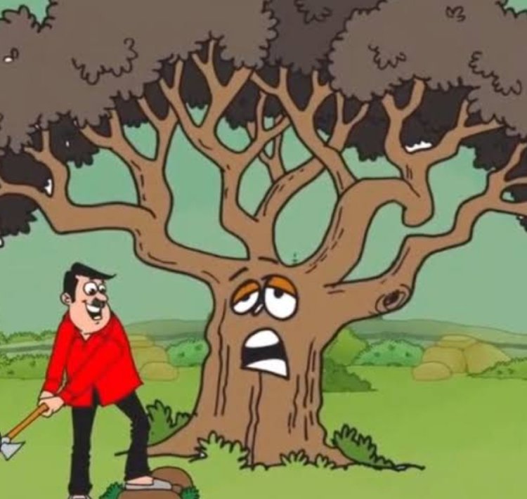 विश्व पर्यावरण दिवस पर विशेष :  वृक्ष की करुण गाथा