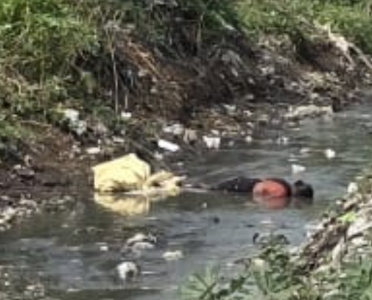 नाले से मिला महिला कमला का शव