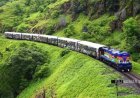रेल यात्री सरोकार : यात्री देख सकेंगे प्रकृति के नज़ारे, पातालपानी-कालाकुंड हेरिटेज ट्रेन 26 जुलाई से फिर