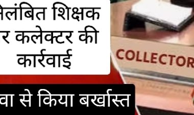 कलेक्टर की कार्रवाई : अपराधिक प्रकरण में दोषी पाने पर निलंबित शिक्षक को किया सेवा से बर्खास्त