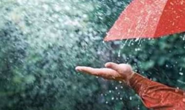 साहित्य सरोकार : सावन आया कैसा...