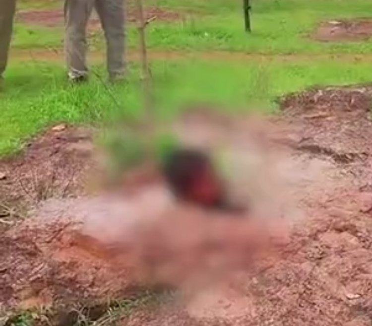 आशंका और सनसनी : बाबा के स्थान के पास मिला युवक का सिर, धड़ था कुछ दूरी पर