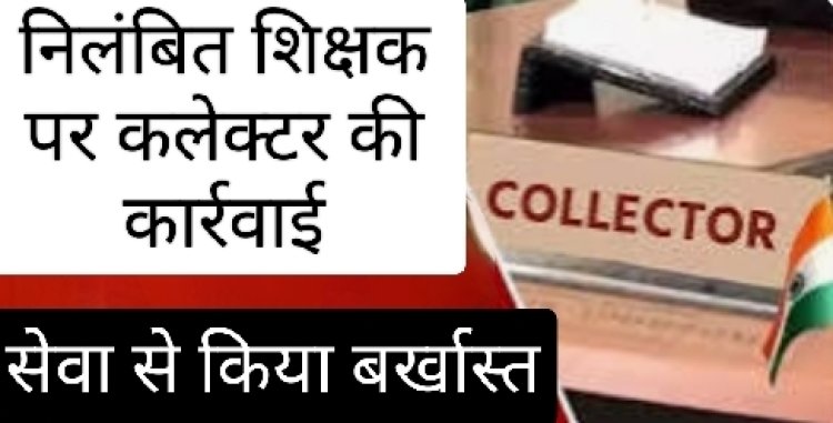 कलेक्टर की कार्रवाई : अपराधिक प्रकरण में दोषी पाने पर निलंबित शिक्षक को किया सेवा से बर्खास्त