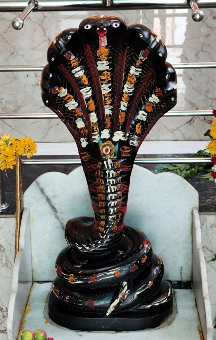 धर्म संस्कृति : नागपंचमी पर तीन दिवसीय महोत्सव 27 जुलाई से