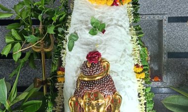 धर्म संस्कृति : श्री नागेश्वर एकलिंग नाथ महादेव का सहस्रधारा अभिषेक कर किया नयनाभिराम श्रृंगार