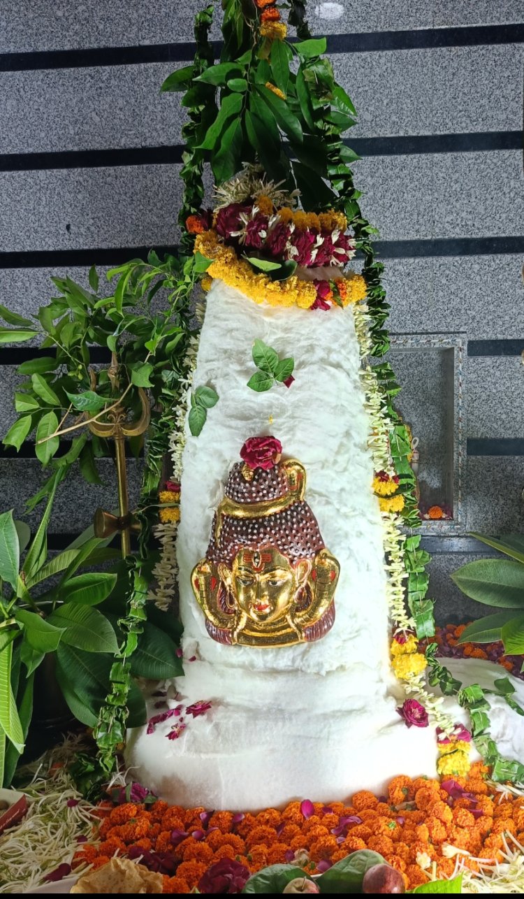 धर्म संस्कृति : श्री नागेश्वर एकलिंग नाथ महादेव का सहस्रधारा अभिषेक कर किया नयनाभिराम श्रृंगार