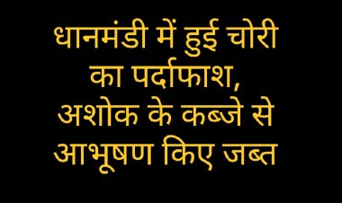 चोरी का पर्दाफाश : दो नाबालिग के सहयोग से बालिग ने किया था ब्राह्मण के वास में नगदी व आभूषणों पर हाथ साफ