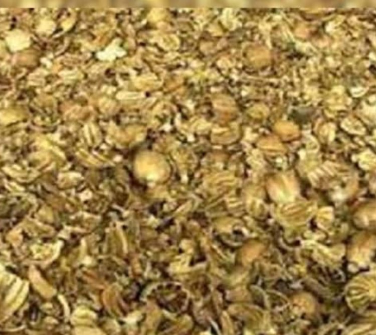 पुलिस कार्रवाई : 10 लाख की कार और चार लाख का डोडा चूरा जब्त