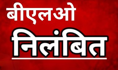 कलेक्टर की कार्रवाई : विशेष गहन पुनरीक्षण कार्य में लापरवाही पर बीएलओ राणावत निलंबित