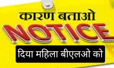 महिला बीएलओ की दबंगई : सहायक निर्वाचक रजिस्ट्रीकरण अधिकारी की शिकायत कर दी अन्य धमकी 