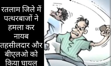 हमला : पत्थरबाजों के हमले से नायब तहसीलदार  और बीएलओ घायल