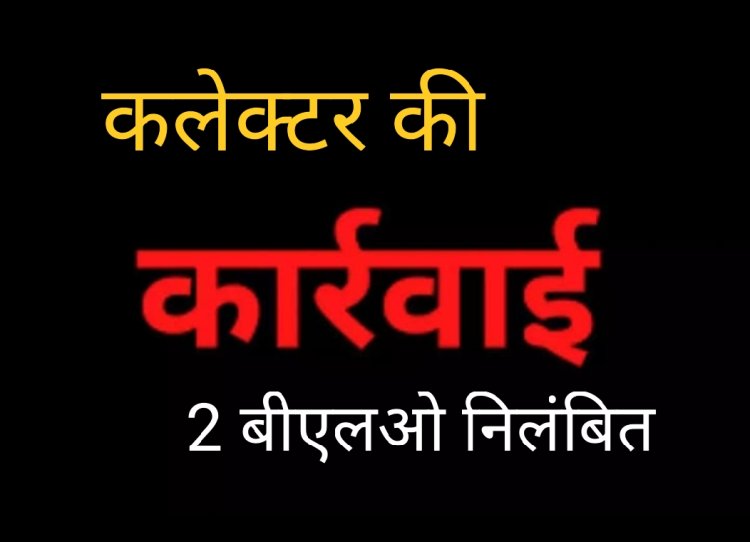 कलेक्टर की कार्रवाई : निर्वाचन कार्य में रुचि नहीं लेने वाले रवि रावत और रश्मि जैन को किया निलंबित