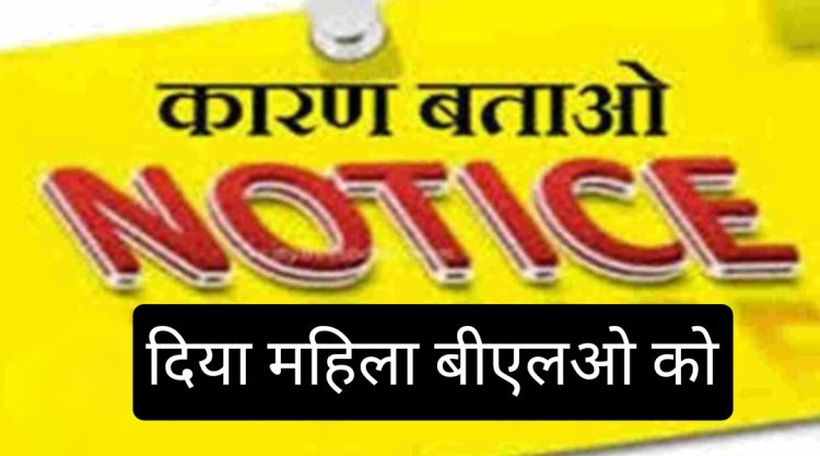 महिला बीएलओ की दबंगई : सहायक निर्वाचक रजिस्ट्रीकरण अधिकारी की शिकायत कर दी अन्य धमकी 