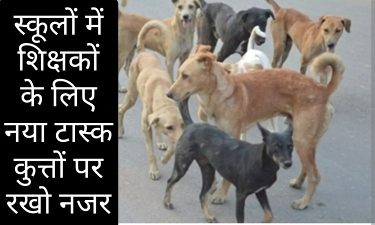 शिक्षकों के लिए नया टास्क : स्कूल में अब शिक्षक कुत्ते भी भगाते हुए आएंगे नजर