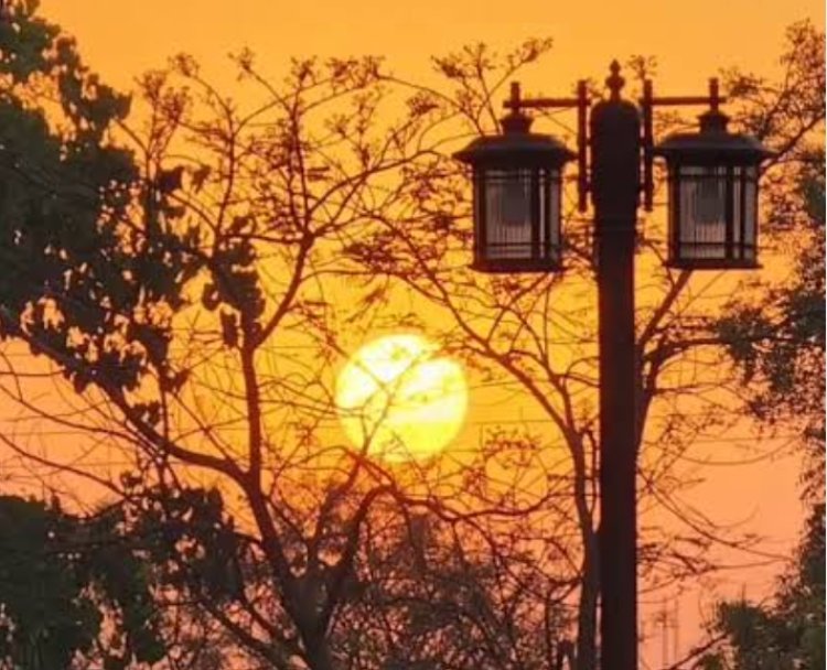 विचार सरोकार : मर चुकी है मानवता?