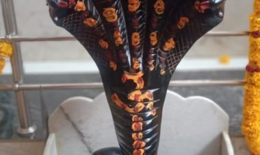 धर्म संस्कृति : वासुकीनाथ बाबा के दिव्य अभिषेक से जागृत होगी आस्था, आयोजन 25 को