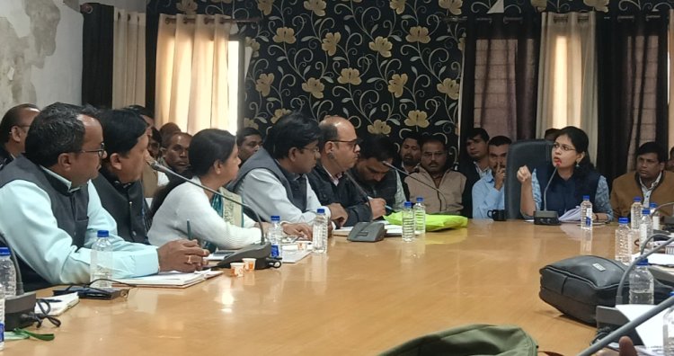 "मेंटर विजिट" में सैलाना और बाजना विकासखंड फिसड्डी साबित, सीईओ ने 7 दिन का दिया समय