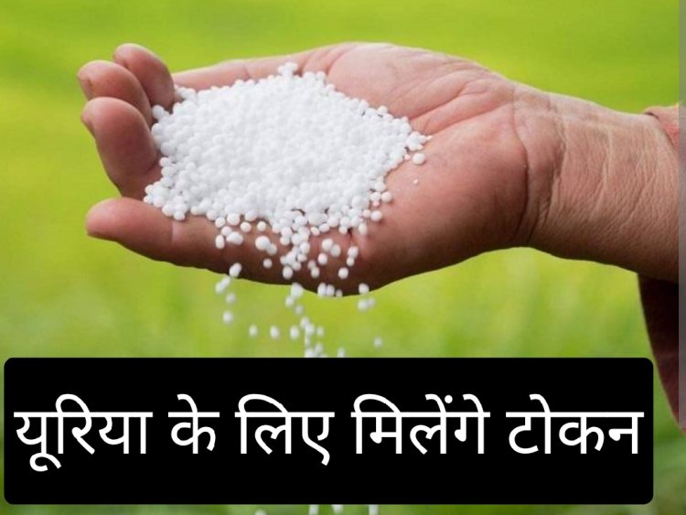 तहसील रतलाम से खाद वितरण  के लिए टोकन वितरण की नवीन व्यवस्था