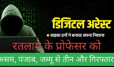 मामला प्रोफेसर के साथ डिजिटल अरेस्ट साइबर ठगी का