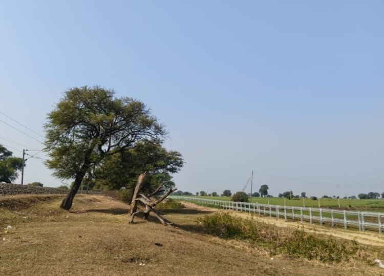 रेलयात्री सरोकार : रतलाम मंडल में ट्रैक साइड फेंसिंग से बढ़ेगी ट्रेनों की गति, पशु नहीं आएंगे ट्रैक पर