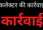 कलेक्टर की कार्रवाई : अपराधिक गतिविधियों में लिप्त अनिल को किया जिला बदर