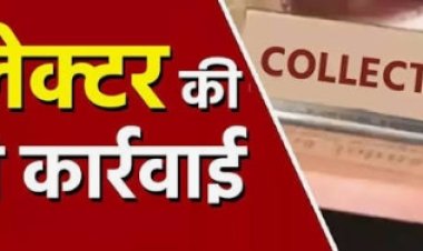 कलेक्टर की कार्रवाई :  रतलाम जिले के 21 पटवारियों का एक दिवस का वेतन रोका 