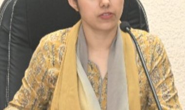 कलेक्टर की कार्रवाई : नायब तहसीलदार न्यायालय प्रवाचकों की दो- दो वेतनवृद्धि रोकी