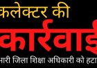 कलेक्टर की कार्रवाई :  प्रभारी जिला शिक्षा अधिकारी अनीता सागर को हटाया