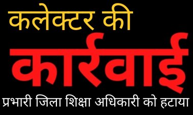 कलेक्टर की कार्रवाई :  प्रभारी जिला शिक्षा अधिकारी अनीता सागर को हटाया