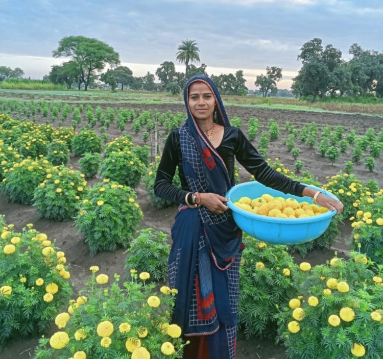 उपलब्धि सरोकार : लखपति दीदी बनीं पूजा खराड़ी, आजीविका मिशन से बदली जिंदगी