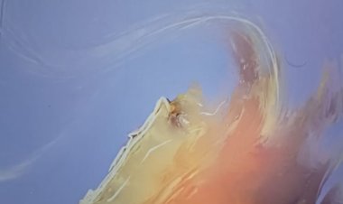 पुस्तक समीक्षा : कविता संकलन ’पहाड़ों की धड़कन’