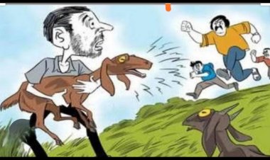 इंदौर के चार बकरा चोर गिरफ्तार, रतलाम जिले में की थी चोरी बकरों की