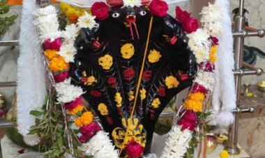 धर्म संस्कृति : शिव शक्ति वासुकी धाम में भव्य शिखर कलश प्रतिष्ठा 24 जून को
