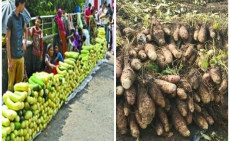 उपलब्धि सरोकार : बालम ककड़ी और रतलामी गराडू को मालवी गराडू के नाम से मिला जी.आई. टैग