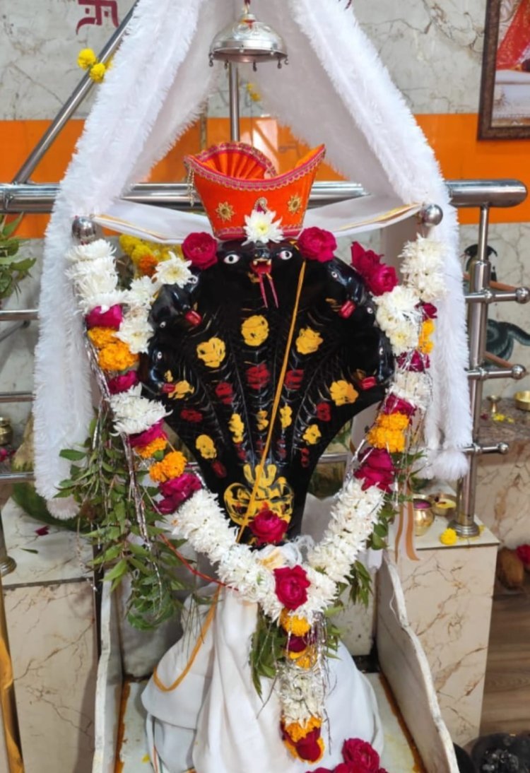 धर्म संस्कृति : शिव शक्ति वासुकी धाम में भव्य शिखर कलश प्रतिष्ठा 24 जून को