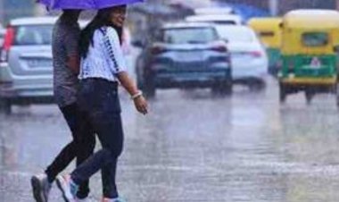 रतलाम जिले में बारिश का लेखा-जोखा: इस सीजन अब तक 275.25 मिमी औसत बारिश दर्ज,