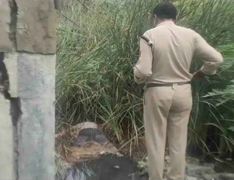 महू रोड पर नाले में मिला अज्ञात व्यक्ति का शव, फैली सनसनी  लोगों ने दी सूचना