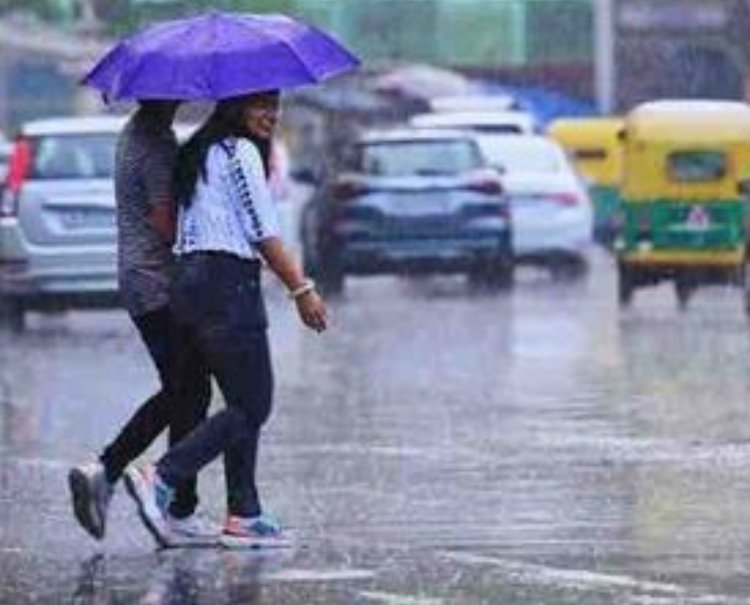 रतलाम जिले में बारिश का लेखा-जोखा: इस सीजन अब तक 275.25 मिमी औसत बारिश दर्ज,