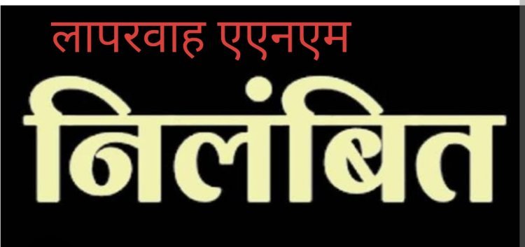 कलेक्टर की कार्रवाई :  एएनएम रईसा बेगम को किया तत्काल प्रभाव से निलंबित