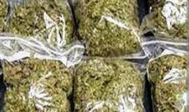 पुलिस कार्रवाई : 1.5 किलो गांजे के साथ तीन आरोपी गिरफ्तार