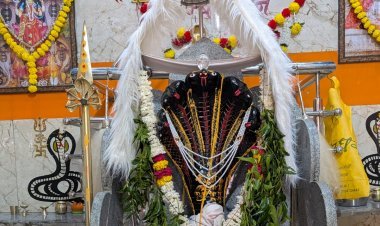 ​आस्था और अध्यात्म का केंद्र बने रतलाम के शिवशक्ति वासुकी धाम में गूंजेंगे वैदिक मंत्र