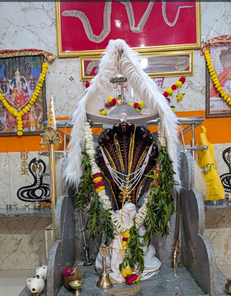 ​आस्था और अध्यात्म का केंद्र बने रतलाम के शिवशक्ति वासुकी धाम में गूंजेंगे वैदिक मंत्र